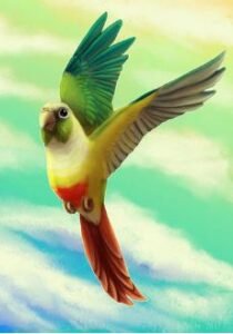 Green cheeked conure for beginners
