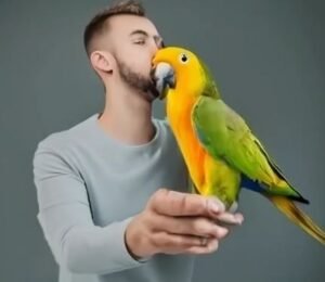  Teaching Your Bird Fun Tricks