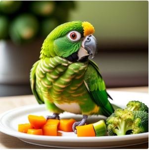 Afternoon Diet for Green cheeked Conure.
